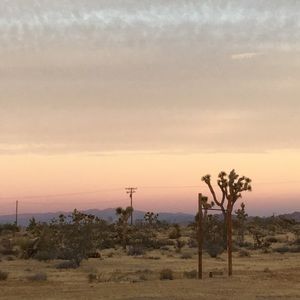 Meet your Posher, Lizzy